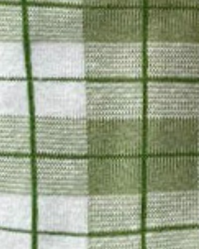 چهار خونه سبز